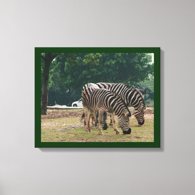 Zebras Leinwanddruck (Vorderseite)