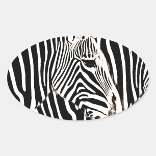 Zebras Liebe_ Ovaler Aufkleber