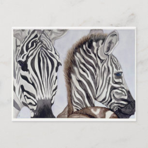 Zebras Mutter und Kind Postkarte