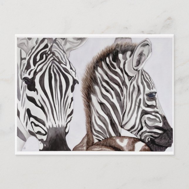 Zebras Mutter und Kind Postkarte (Vorderseite)