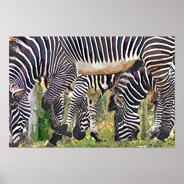 ZEBRAS POSTER (Vorne)