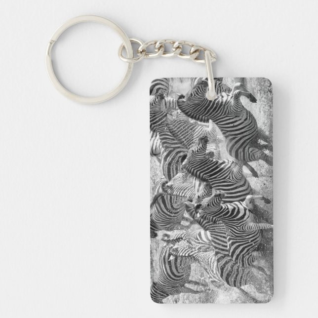 Zebras running (Devant)