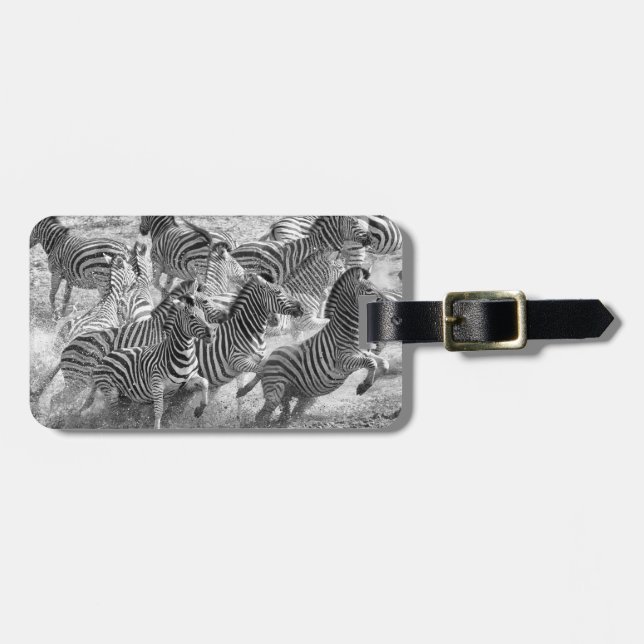 Zebras running gepäckanhänger (Vorderseite horizontal)