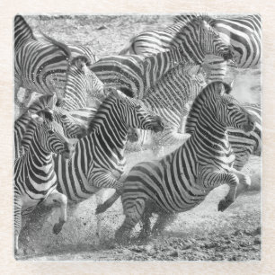 Zebras running glasuntersetzer