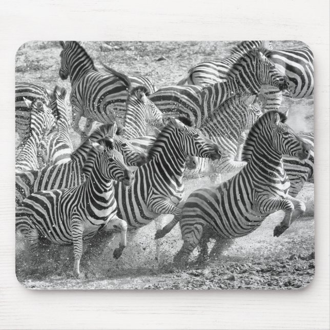 Zebras running mousepad (Vorne)