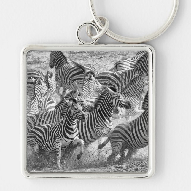 Zebras running schlüsselanhänger (Vorne)