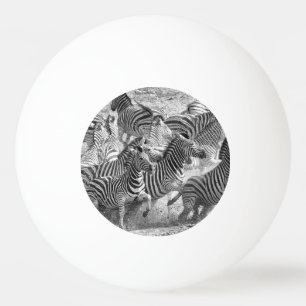 Zebras running tischtennisball