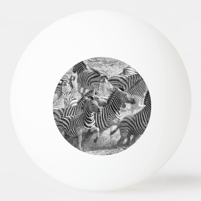 Zebras running tischtennisball (Rückseite)
