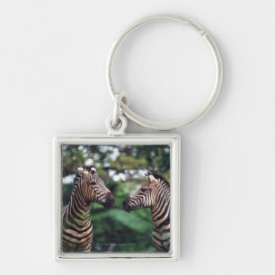 Zebras Schlüsselanhänger