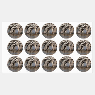 Zebras trinken etiketten