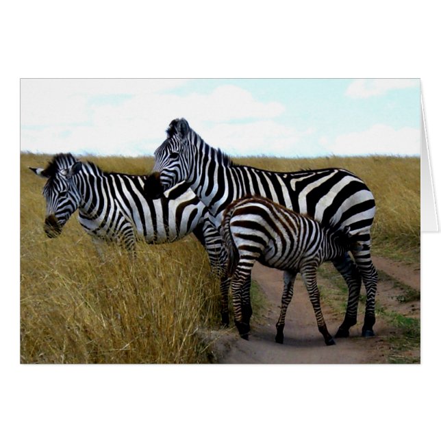 ZEBRAS UND BABY ZEBRA (Vorderseite (Horizontal))
