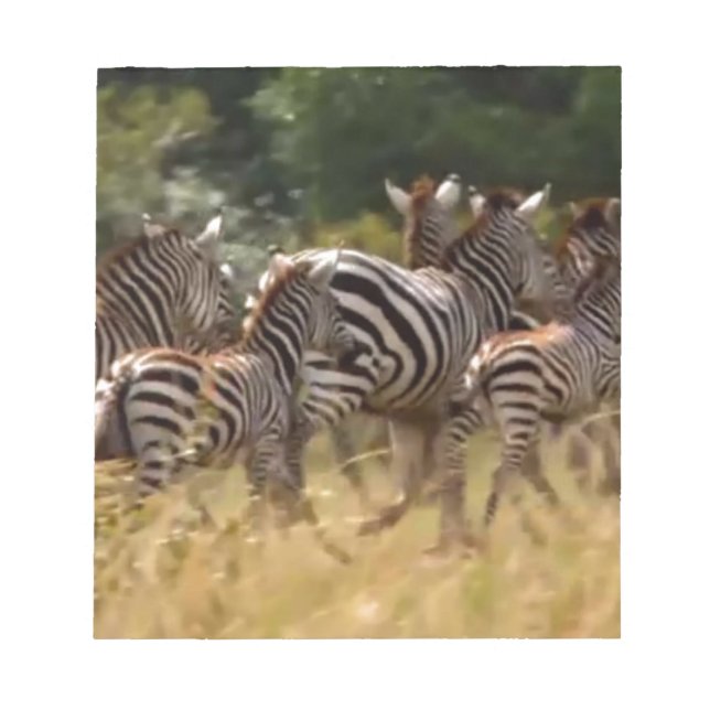 Zebras unterwegs: Eine Reise durch Tausende von Me Notizblock (Vorderseite)