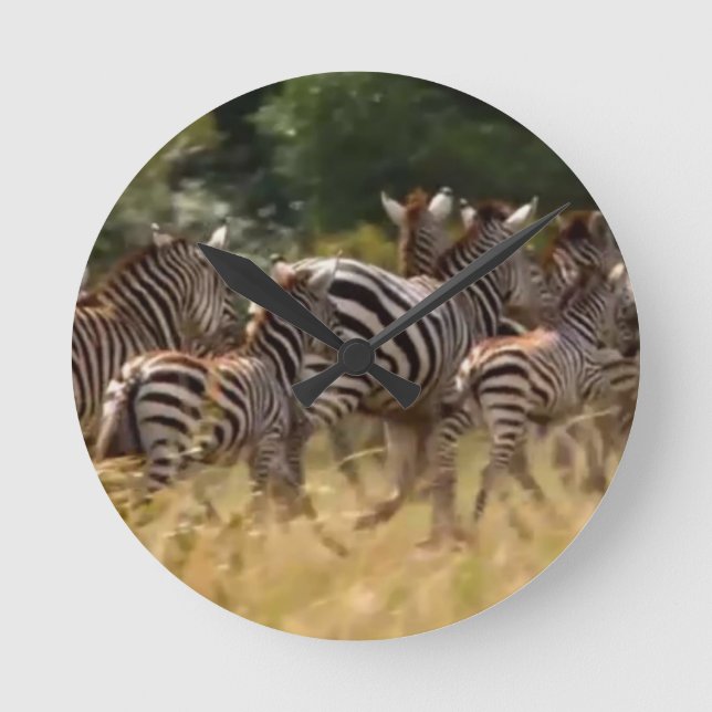 Zebras unterwegs: Eine Reise durch Tausende von Me Runde Wanduhr (Vorderseite)