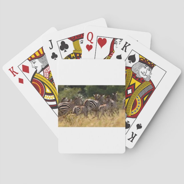 Zebras unterwegs: Eine Reise durch Tausende von Me Spielkarten (Rückseite)