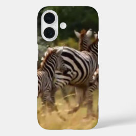 Zebras unterwegs: Eine Reise durch Tausende von Me title_seo2