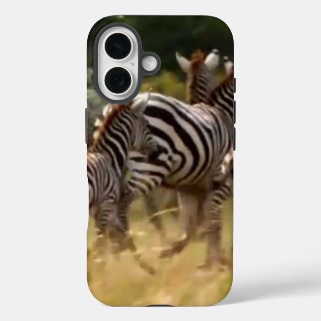 Zebras unterwegs: Eine Reise von tausend Meilen. iPhone 16 Hülle (Rückseite)