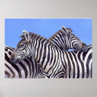 Zebras von Donna Crawshaw Poster