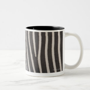 Zebras Zweifarbige Tasse