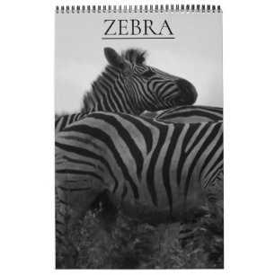 Zebrasafari Kalender