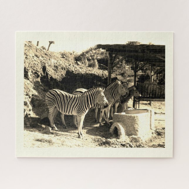 Zebrasgruppe (Horizontal)