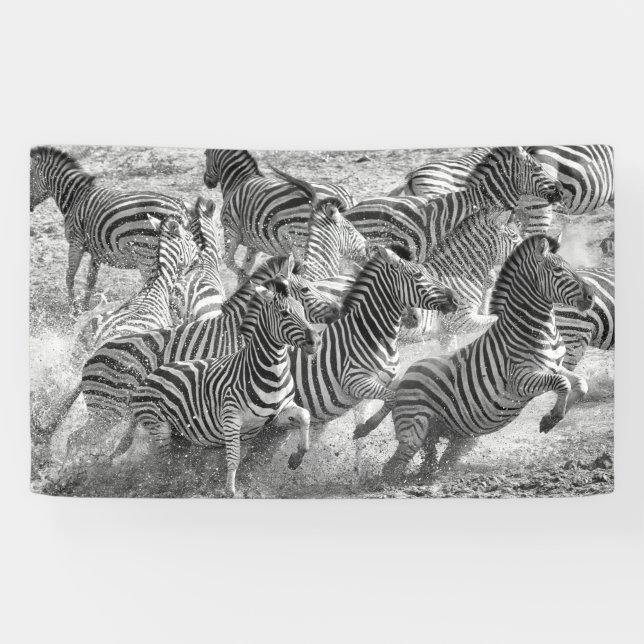 Zebraslaufen Banner (Horizontal)
