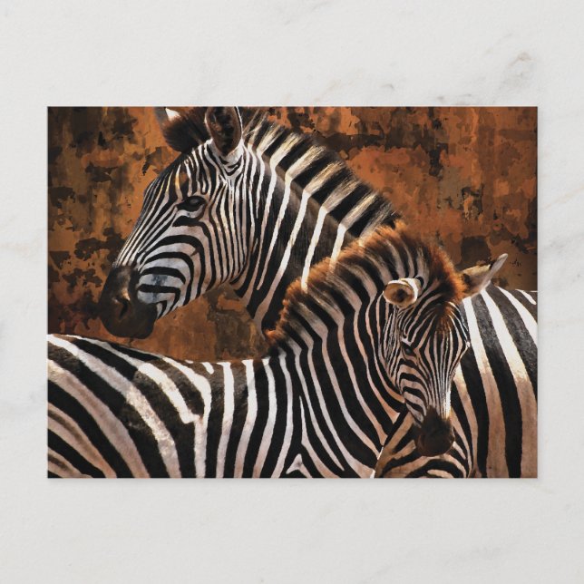 Zebrastreifen Postkarte (Vorderseite)