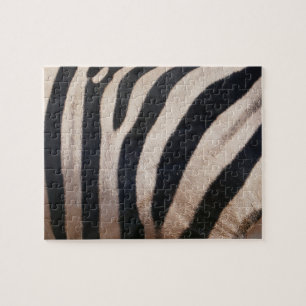 Zebrastreifen Schwarz und Weiß