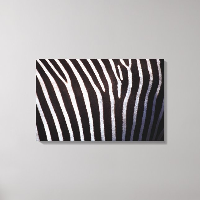 Zebraverstecke Leinwanddruck (Vorderseite)