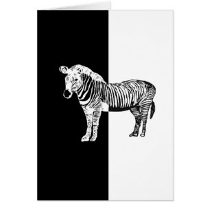 Zèbre noir et blanc