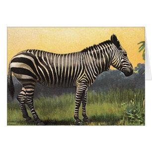 Zèbre vintage dans la savane africaine, animal sau