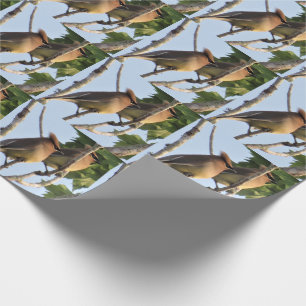 Zedar Waxwing - Backyard Bird - Wrapping Paper Rol Geschenkpapier