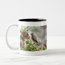 Zedarwaxing-Tasse Zweifarbige Tasse