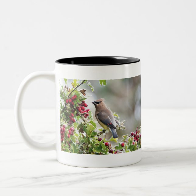 Zedarwaxing-Tasse Zweifarbige Tasse (Links)