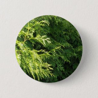 Zedern-Hecke Button