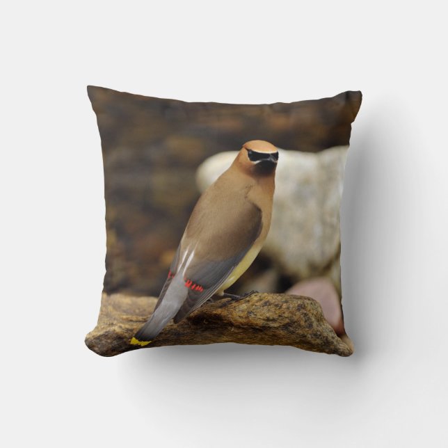 Zederwaxwing-Amerikaner MoJo Kissen (Vorderseite)
