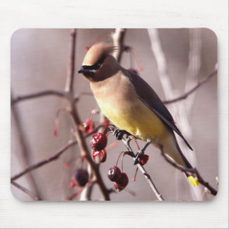 Zederwaxwing-Mausunterlage Mousepad