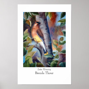 Zederwaxwing-Plakat Poster