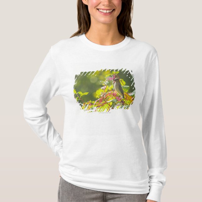 Zederwaxwing-und Poke-Beeren auf einem Baum T-Shirt (Vorderseite)