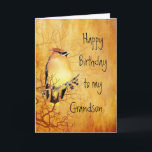 Zederwaxwing-Vogel-bester Enkel-Geburtstag Karte<br><div class="desc">Warmer kupferner Zederwaxwing-Vogel L Geburtstag für Ihren Enkel</div>