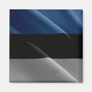 zEE002 ESTLAND schwingende FLAG Estland - Kühlschr Magnet