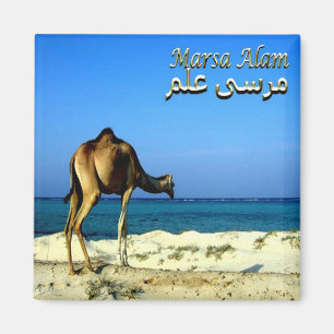 zEG047 MARSA ALAM, Rotes Meer, Ägypten, Kühlschran Magnet