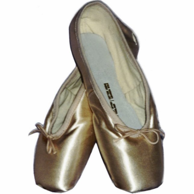 Zehe-Schuh-Ballett-Verzierung Fotoskulptur Ornament (Vorne)