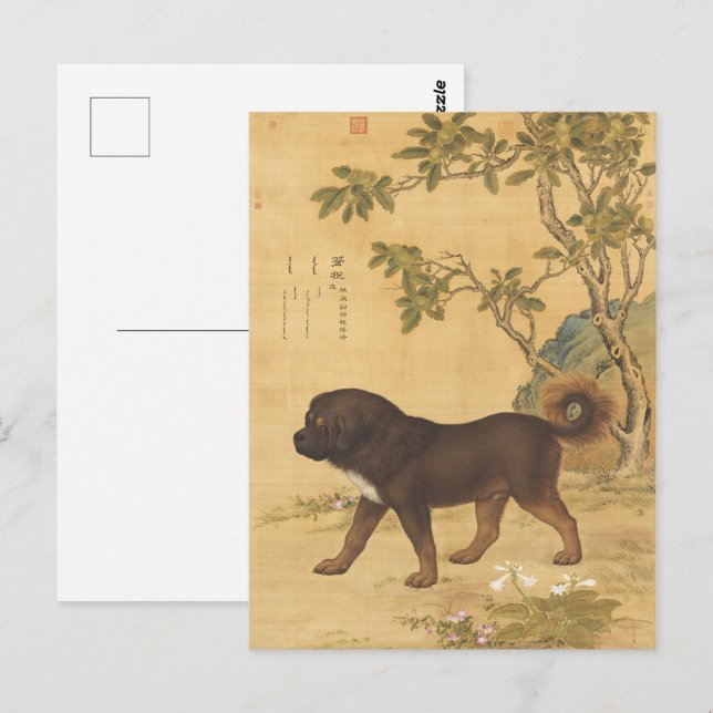 Zehn feine Hunde - Cangni (ein tibetischer Hund) Postkarte (Vorne/Hinten)