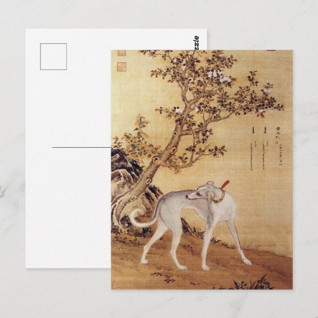 Zehn preisgekrönte Hunde - Cangshuiqiu (Chinesisch Postkarte (Vorne/Hinten)