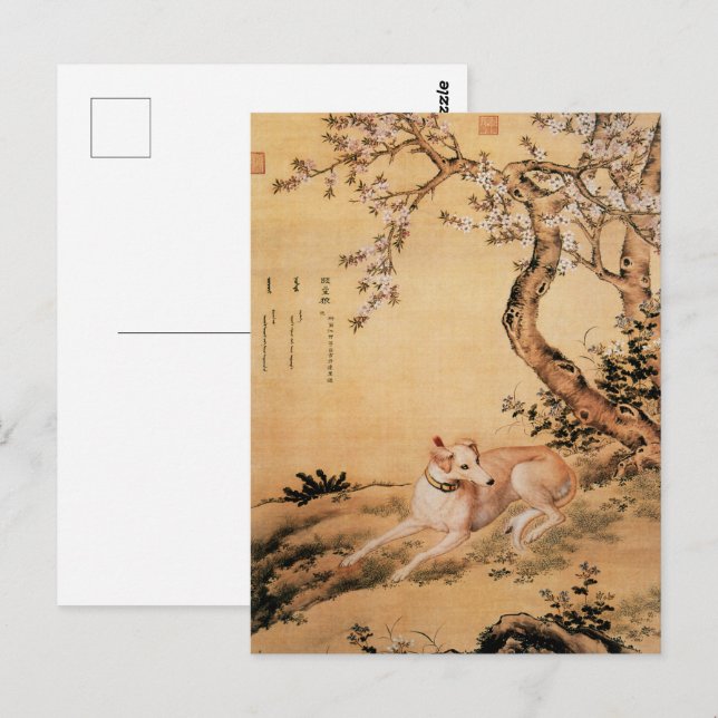 Zehn preisgekrönte Hunde - Shanxing Wolf (Chinesis Postkarte (Vorne/Hinten)