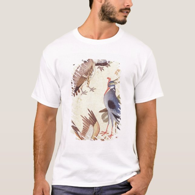 Zehn Vögel T-Shirt (Vorderseite)
