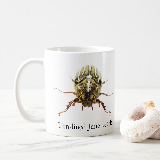 Zehnstreifen-Juni-Käfer-Tasse Kaffeetasse (Mit Donut)