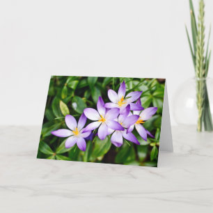 Zeichen der Frühjahrskarte Karte