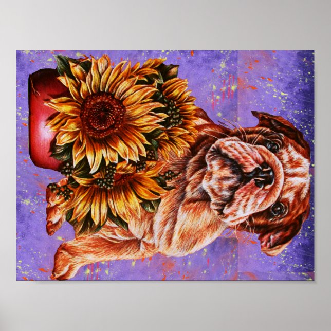 Zeichn von Bulldog-Sonnenblumen auf Lila Paint Poster (Vorne)
