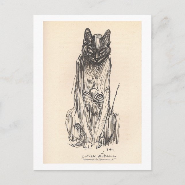 Zeichn von Cat durch Alexandre Steinlen Postkarte (Vorderseite)